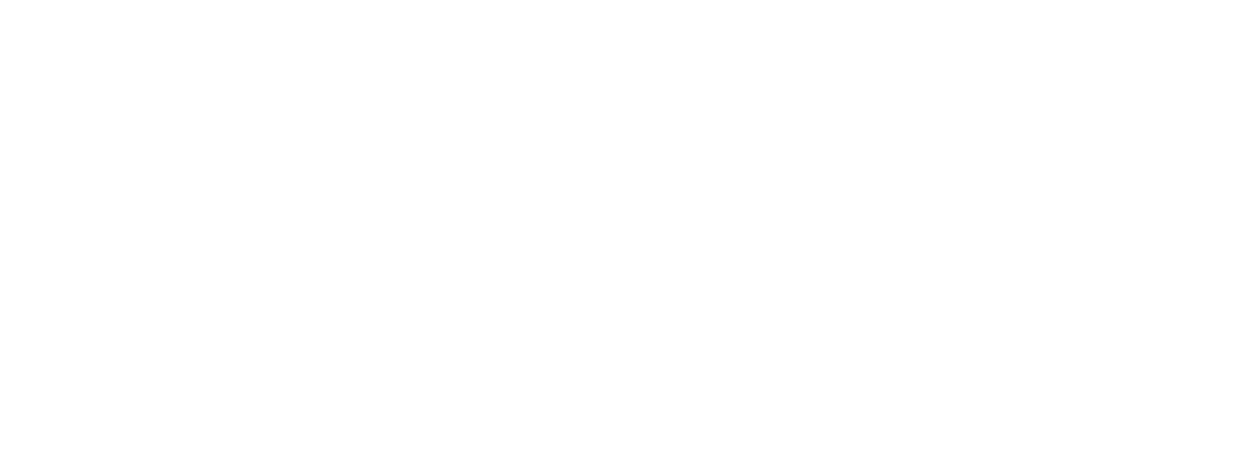 IVECO Academy Social